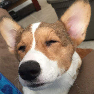 Meet your Posher, Anamaria